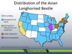 map beetle distribution Asian longhorn