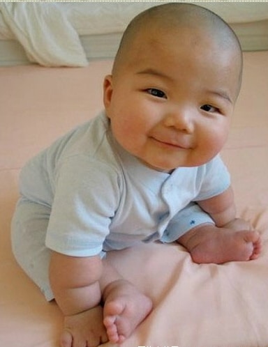 baby chinese Cute fat