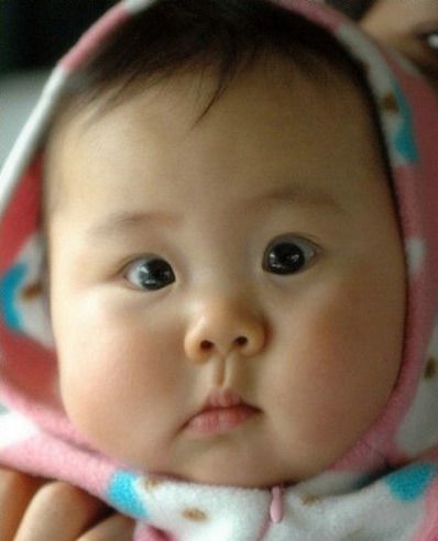 Cute fat chinese baby