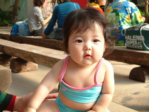 baby chinese Cute fat