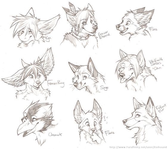 face Anime wolf