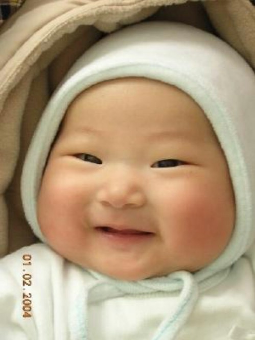 baby chinese Cute fat